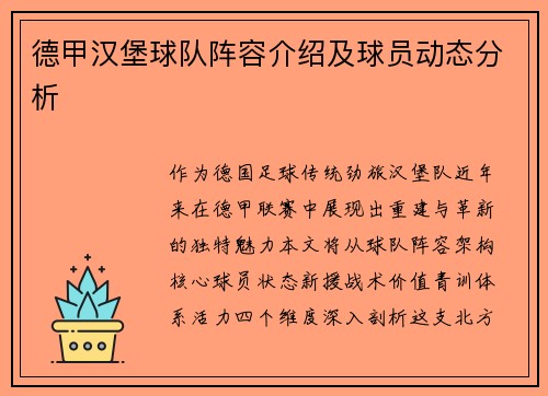 德甲汉堡球队阵容介绍及球员动态分析